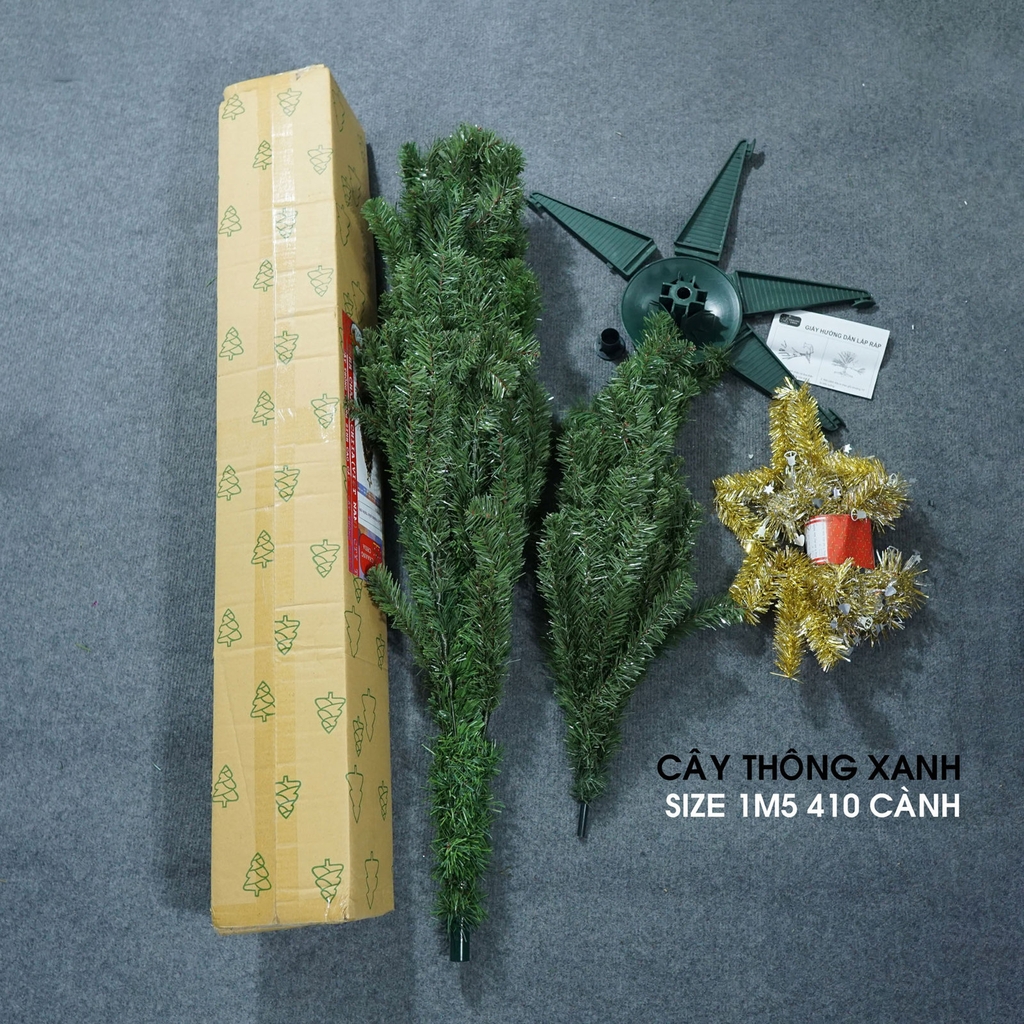 Cây thông xanh 2 loại lá đầu tròn tán dày LP_19TT