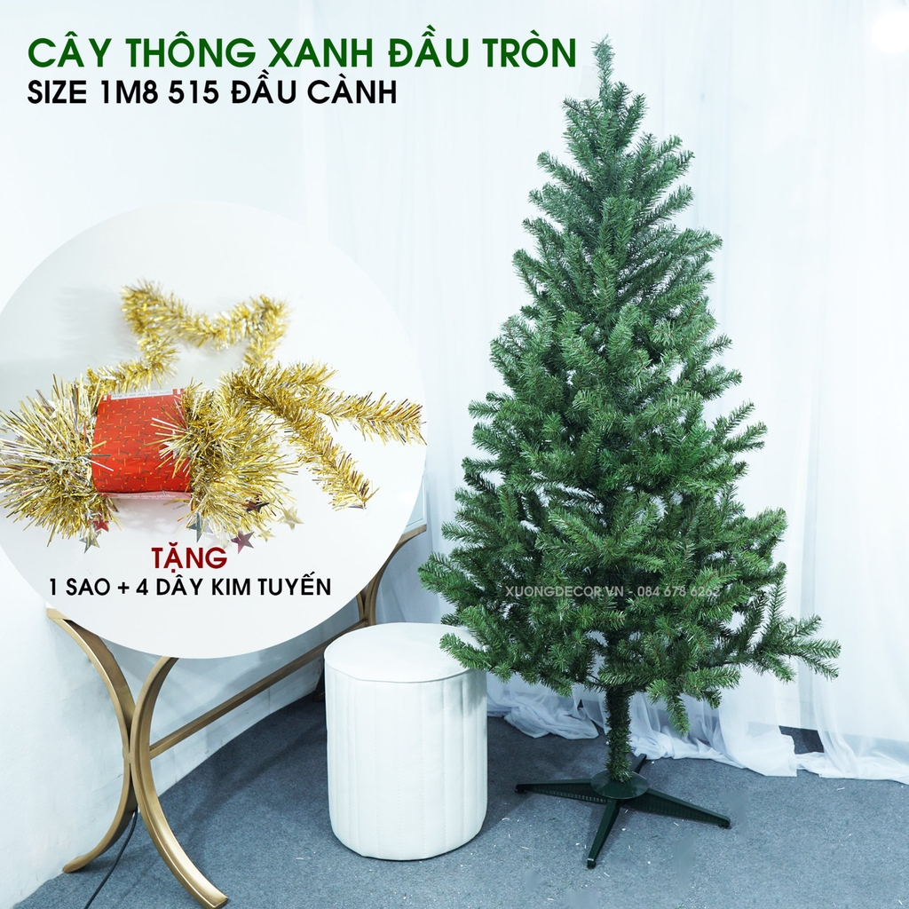 Cây thông xanh 2 loại lá đầu tròn tán dày LP_19TT