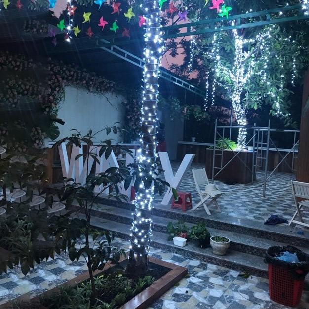 Đèn led quấn cây F5 siêu bền, ngoài trời