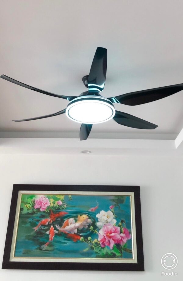 Quạt trần đèn cao cấp 6 cánh Germani XD-2269