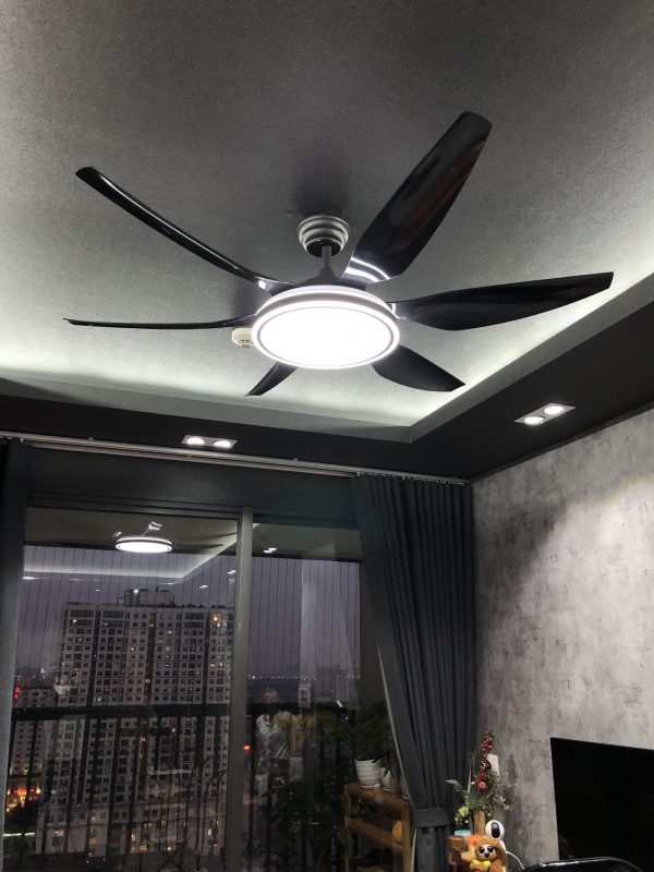 Quạt trần đèn cao cấp 6 cánh Germani XD-2269