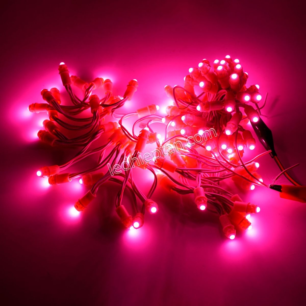 Đèn led quấn cây F5 siêu bền, ngoài trời