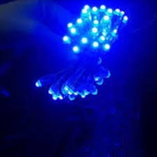 Đèn led quấn cây F5 siêu bền, ngoài trời