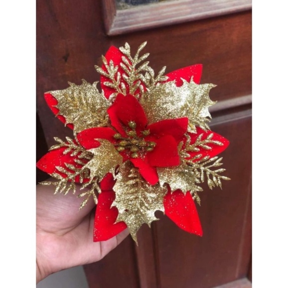 Hoa Trạng Nguyên - Kim Tuyến