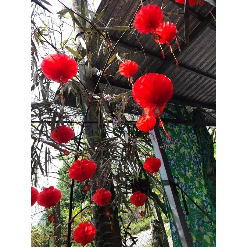 Set 10 Đèn lồng đỏ trang trí tết Tết nilon xếp Hàng thường ( mỏng)