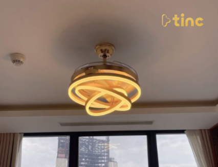 Quạt trần đèn mẫu 2023