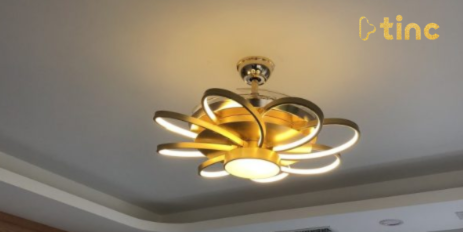 Quạt trần đèn mẫu 2023
