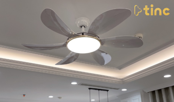 Quạt trần đèn mẫu 2023