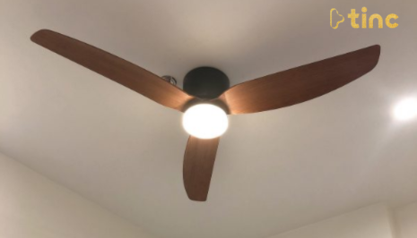 Quạt trần đèn mẫu 2023