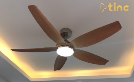 Quạt trần đèn mẫu 2023