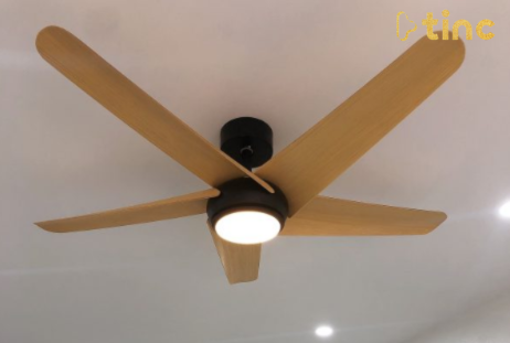 Quạt trần đèn mẫu 2023