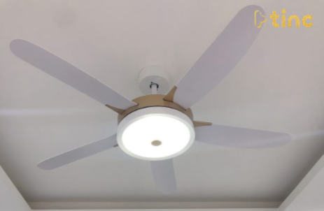 Quạt trần đèn mẫu 2023