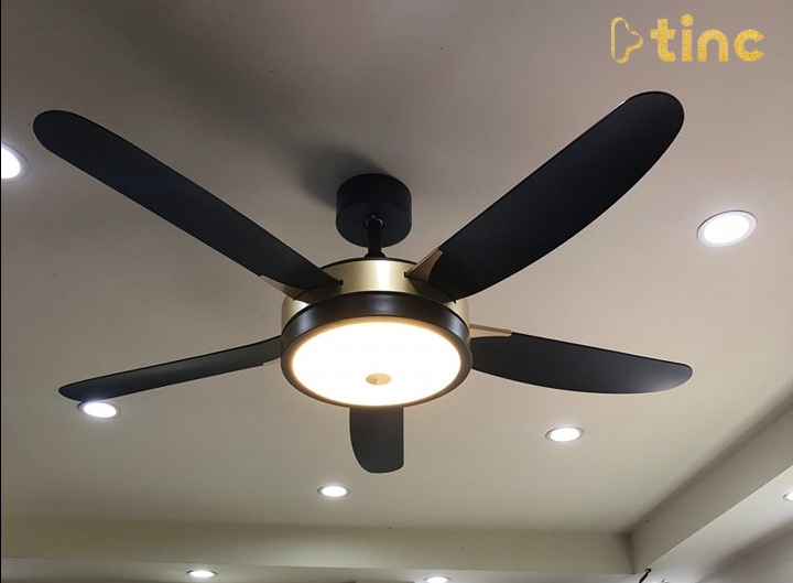 Quạt trần đèn mẫu 2023