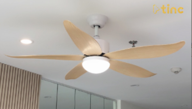 Quạt trần đèn mẫu 2023