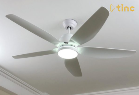 Quạt trần đèn mẫu 2023
