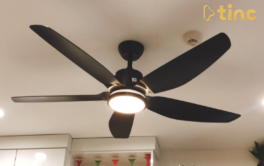 Quạt trần đèn mẫu 2023