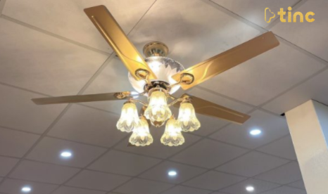 Quạt trần đèn mẫu 2023