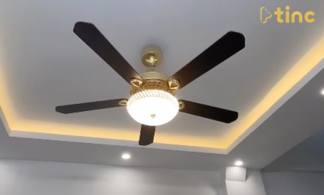 Quạt trần đèn mẫu 2023