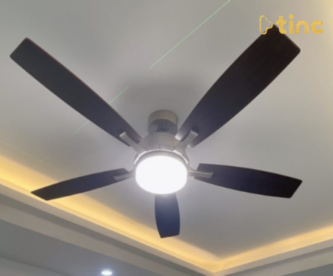 Quạt trần đèn mẫu 2023