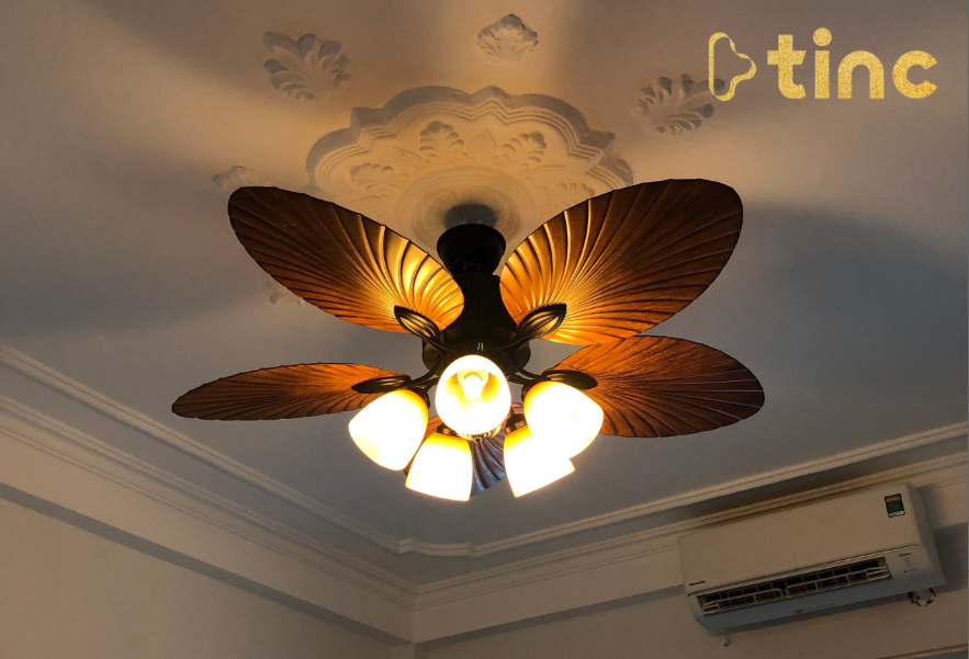 Quạt trần đèn mẫu 2023