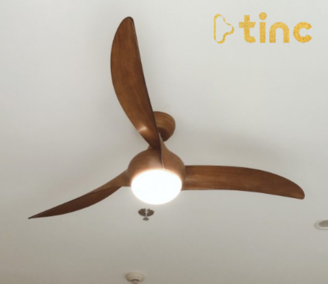 Quạt trần đèn mẫu 2023