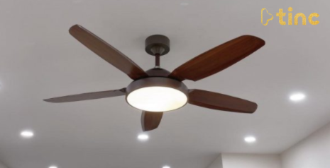 Quạt trần đèn mẫu 2023