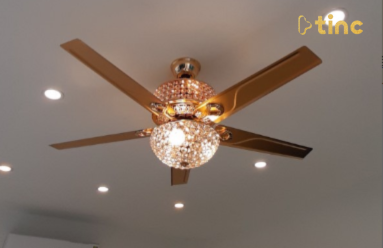 Quạt trần đèn mẫu 2023