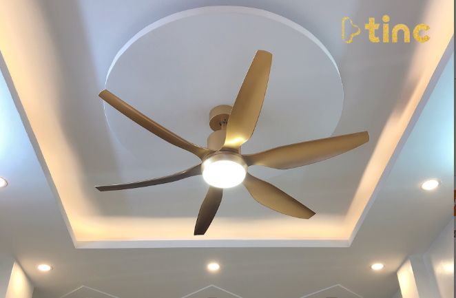 Quạt trần đèn mẫu 2023