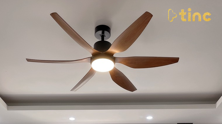 Quạt trần đèn mẫu 2023