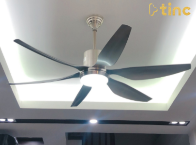 Quạt trần đèn mẫu 2023