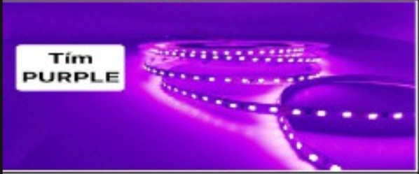 Led Thanh Nhôm cuộn 5m 2835 12V - 120led