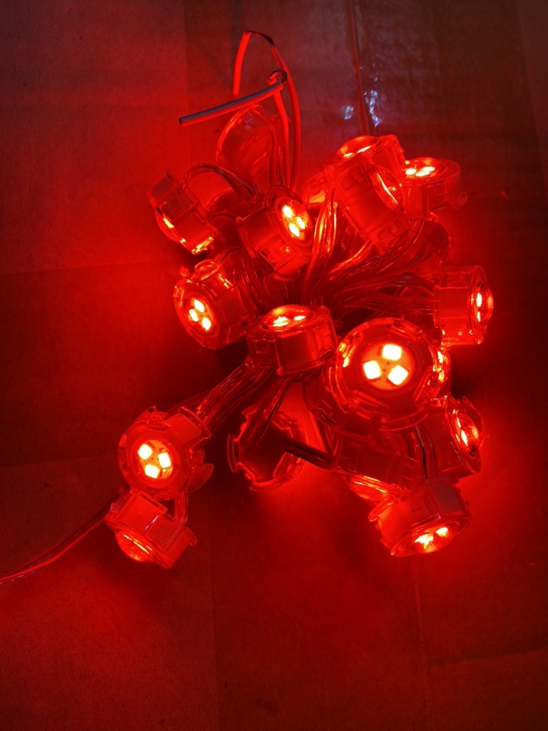 Dây led F20 đơn sắc điện áp 12V 30led/ dây