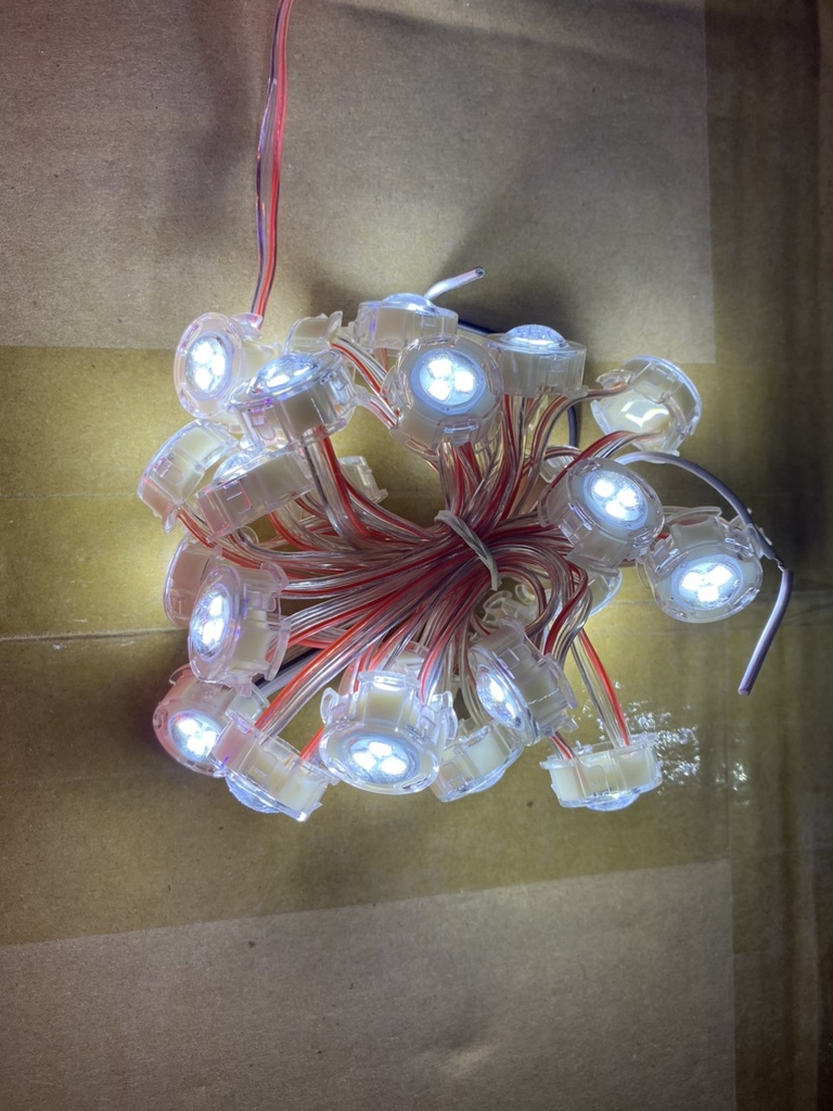 Dây led F20 đơn sắc điện áp 12V 30led/ dây