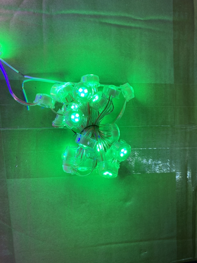 Dây led F20 đơn sắc điện áp 12V 30led/ dây