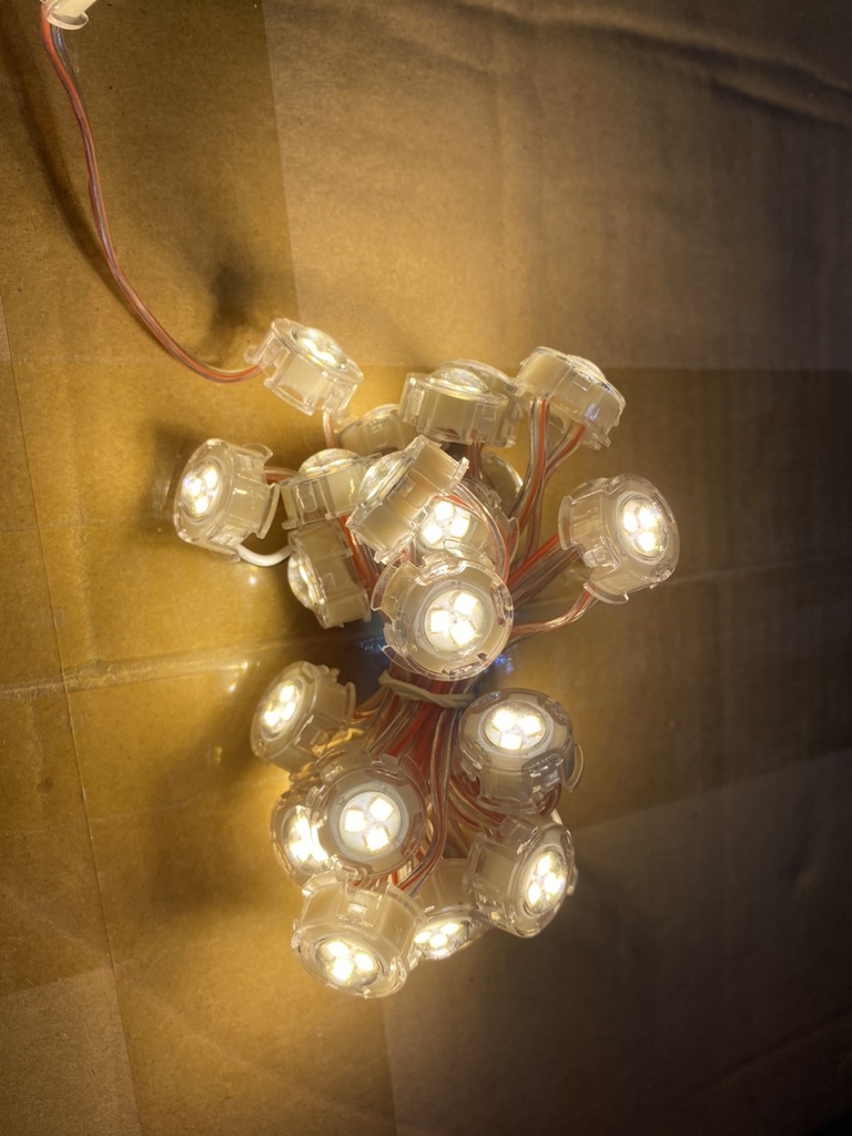 Dây led F20 đơn sắc điện áp 12V 30led/ dây