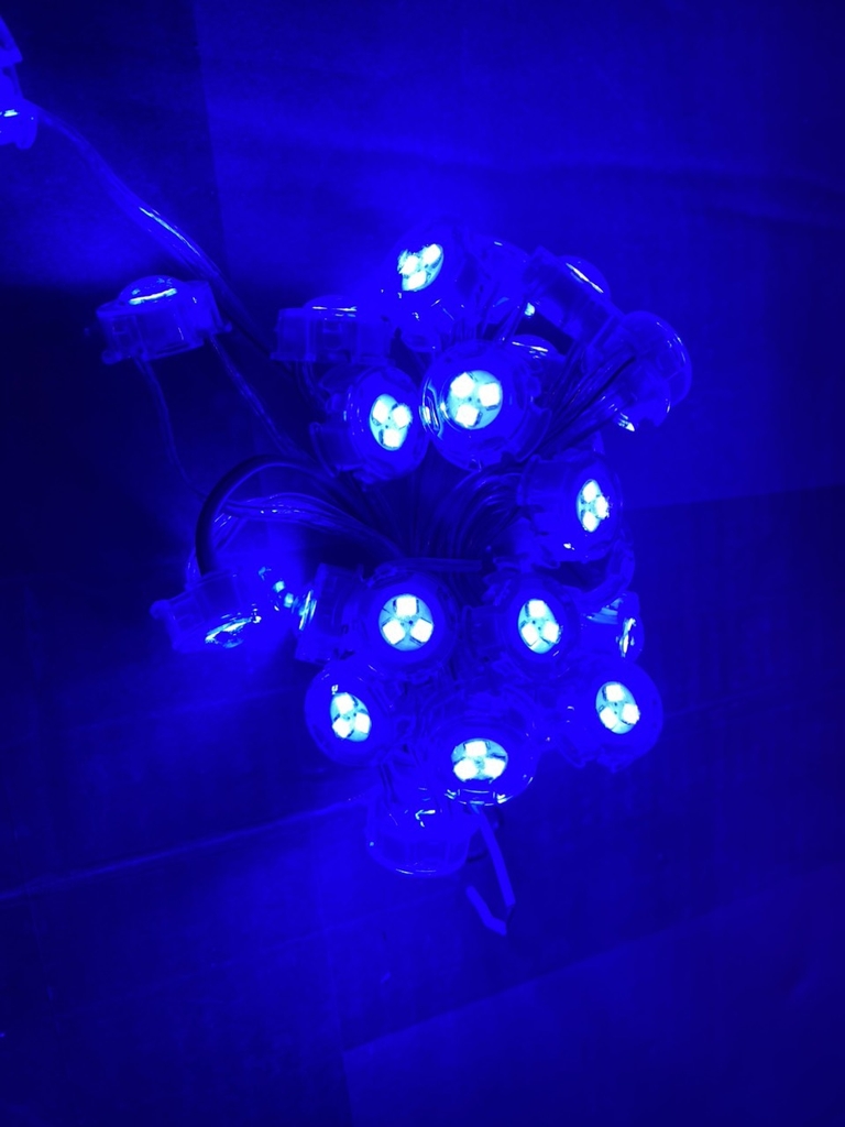 Dây led F20 đơn sắc điện áp 12V 30led/ dây