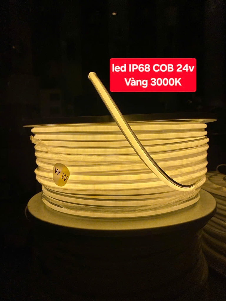 Led dây 24V ip68