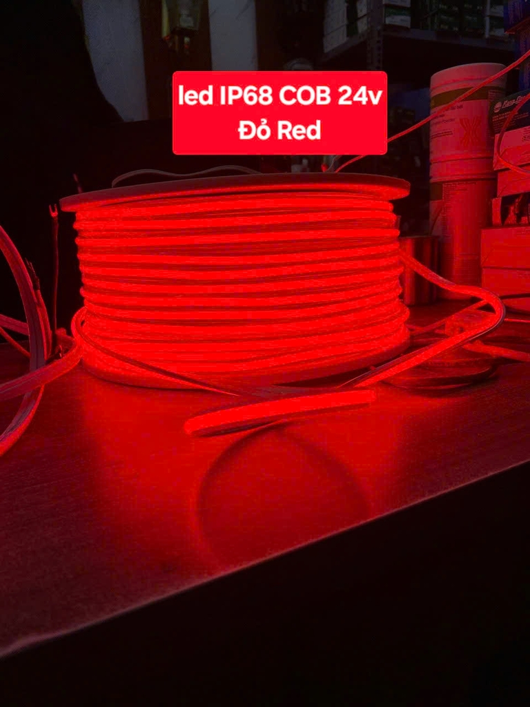Led dây 24V ip68