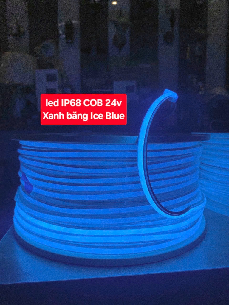 Led dây 24V ip68