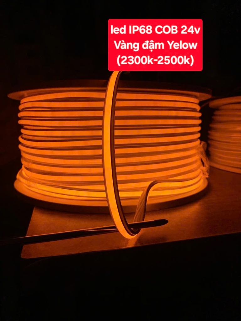 Led dây 24V ip68