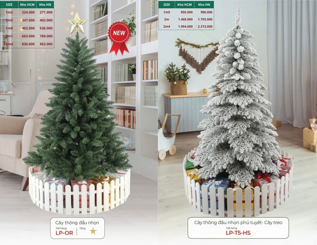 Cây Thông Đầu Nhọn