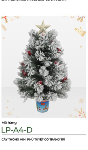 Cây Thông Mini Chang Chiia