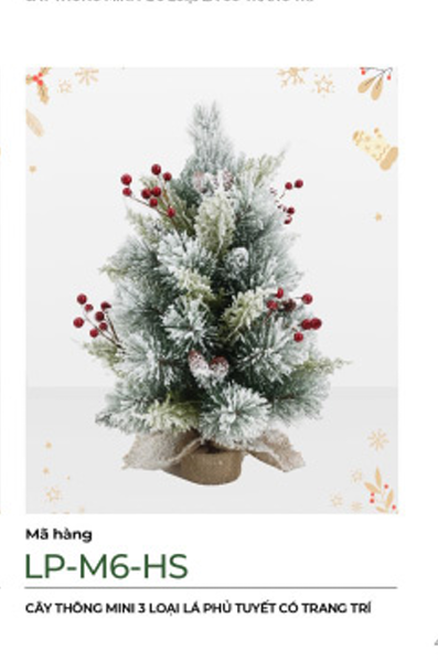 Cây Thông Mini Chang Chiia