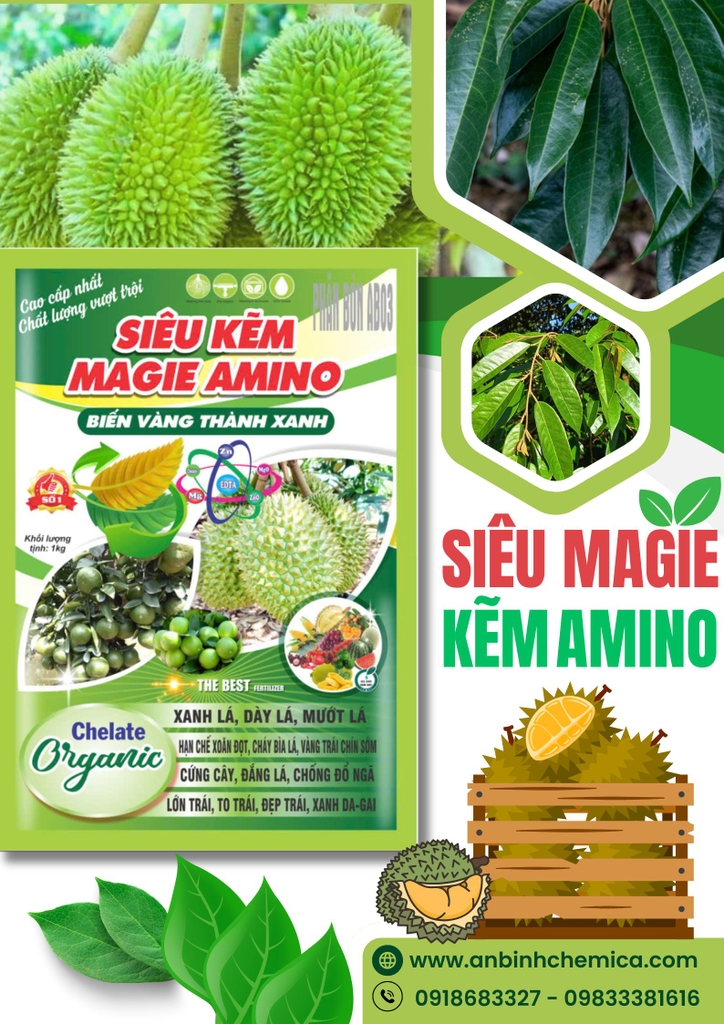 SIÊU KẼM MAGIE AMINO 