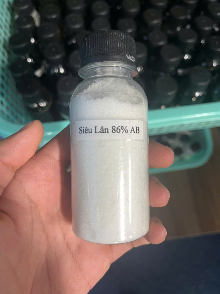 Ruột Lân tạo mầm 86% AB ( tinh khiết )