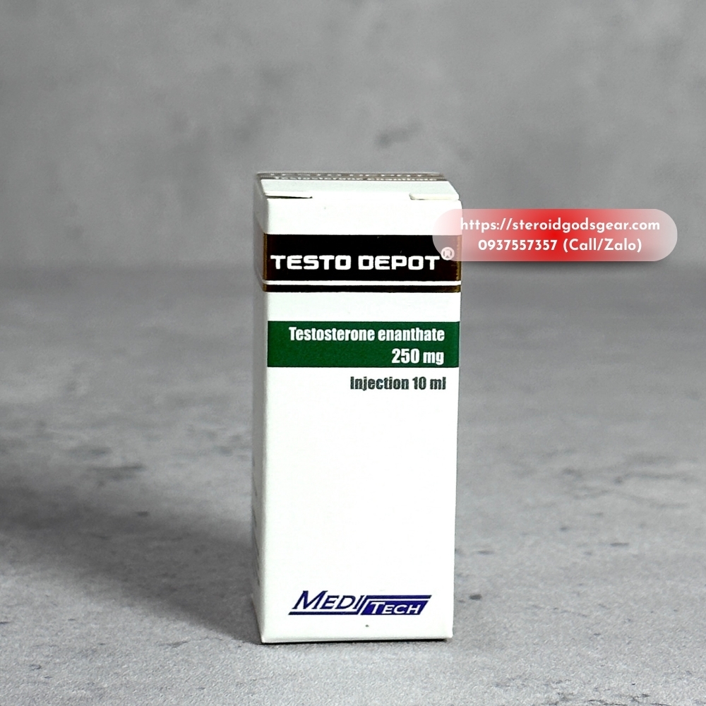 TEST E (Testosterone Enanthate 250mg - Injection 10ml) - Meditech