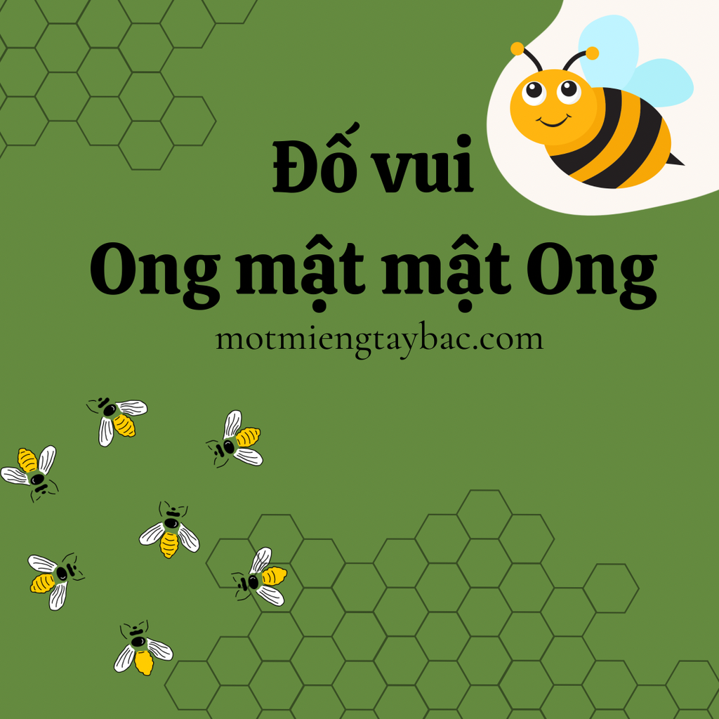 Đố vui Ong mật mật Ong