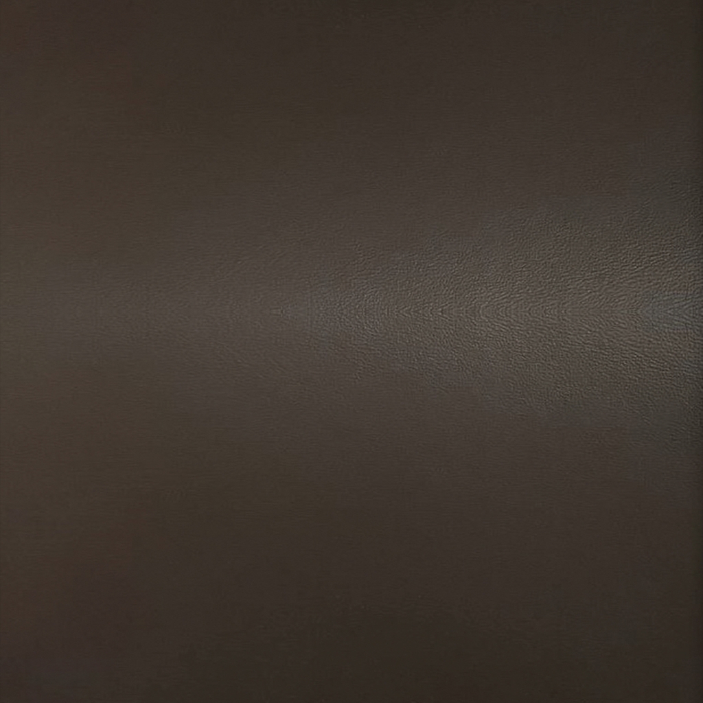 VIỆT KAI - BẢNG MÀU DA NỘI THẤT XE HƠI- Ô TÔ VIETKAI