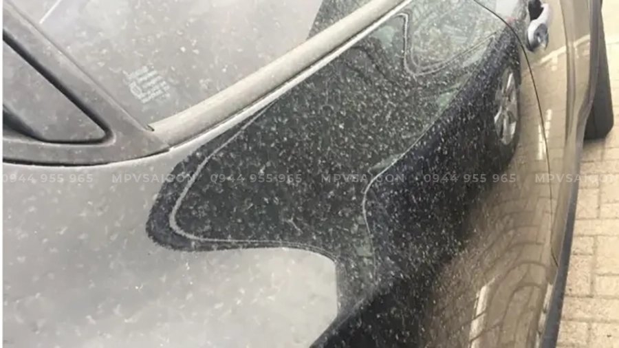 Dịch vụ rửa xe & chăm sóc xe toàn diện tại MPV SAIGON