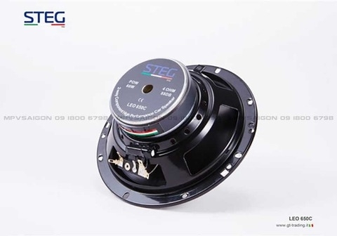 Loa cánh phân tần STEG LEO - 650C